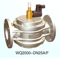 WQ2000-DN25A/FI(y)늴y